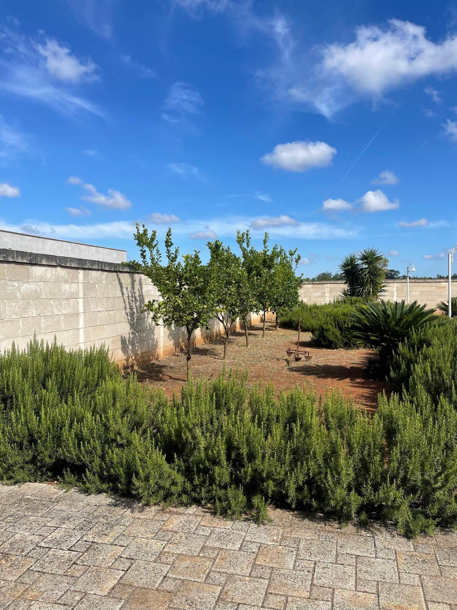 Masseria Don Bonifacio カステッラーナ・グロッテ エクステリア 写真